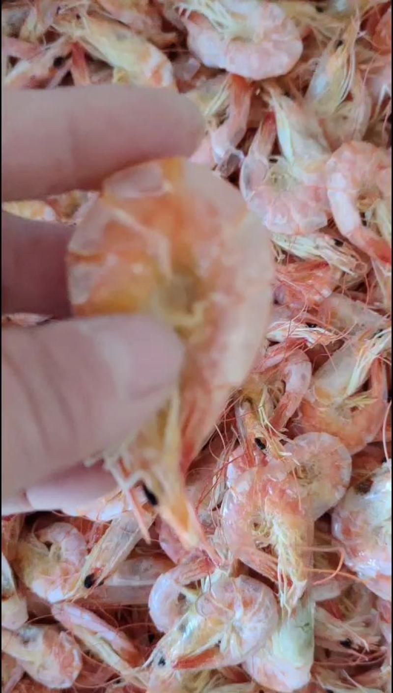 【推荐】无盐炭烤虾烘干虾自家加工一点不咸一手货源
