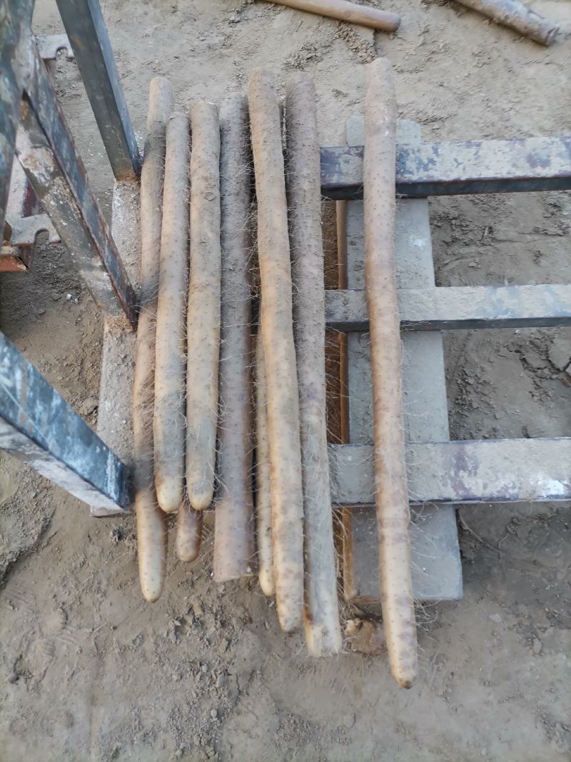 周口九斤黄山药大量有货，诚实代办代发，质量保证，长期合作