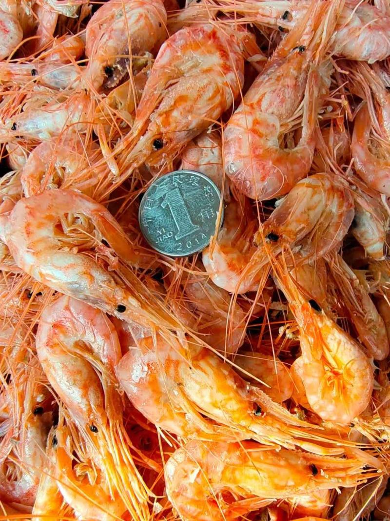 红虾熟的鲜冻即食！味道杠杠鲜！大量现货产地直销无差价