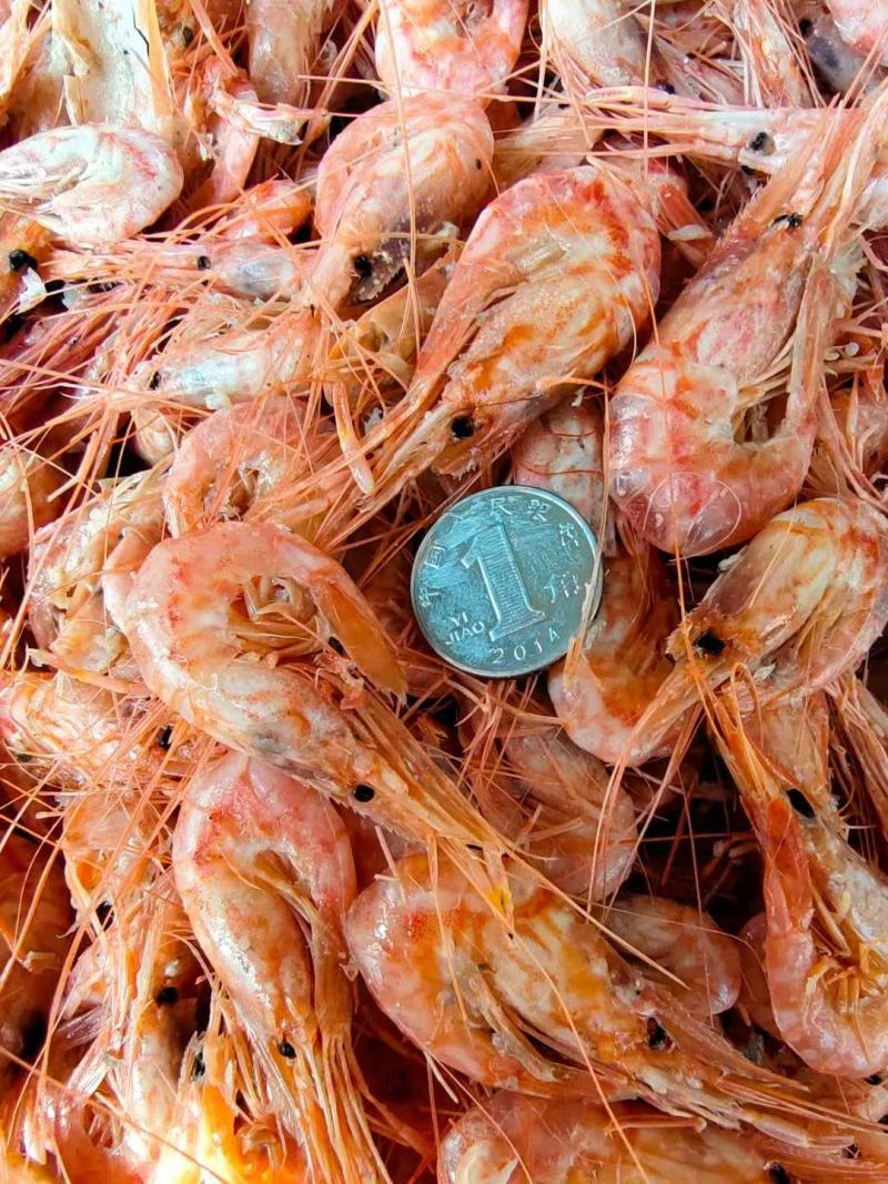 红虾熟的鲜冻即食！味道杠杠鲜！大量现货产地直销无差价