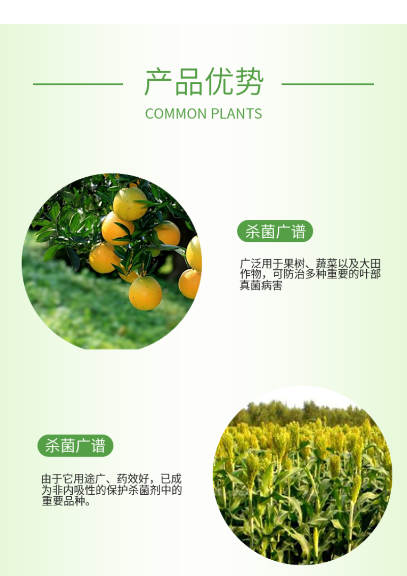 80%代森锰锌叶斑病炭疽病黑星病果树花卉蔬菜专用杀菌剂