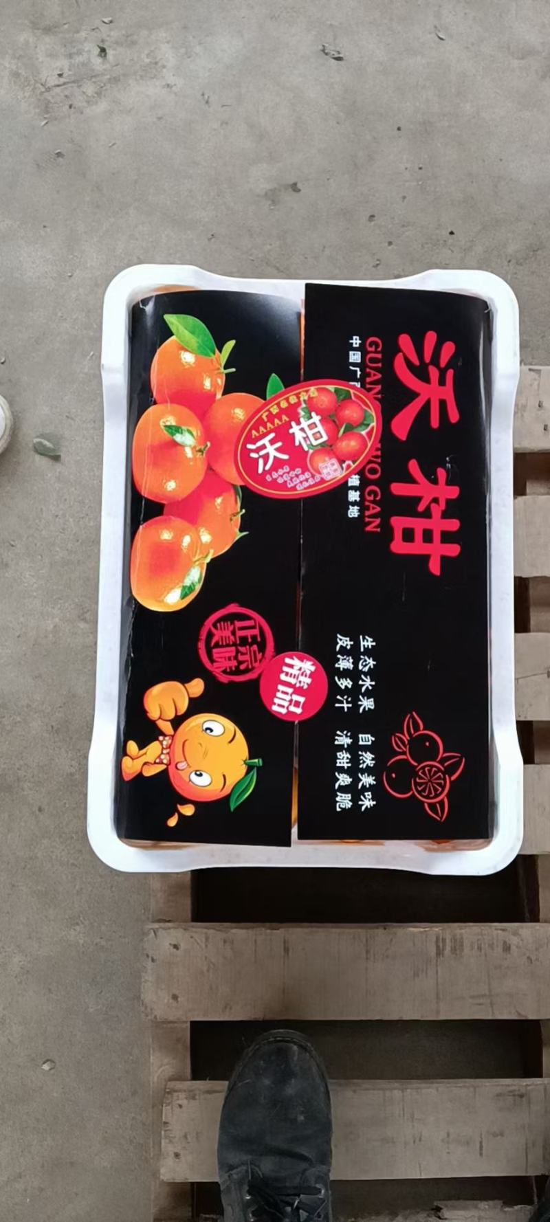 精品沃柑（湖南江永沃甘）