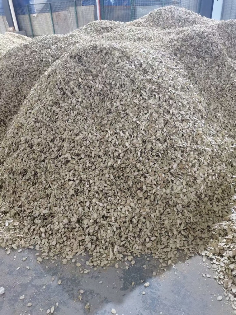 大量长期供应桑枝片无硫统货过筛货量大药用足浴用