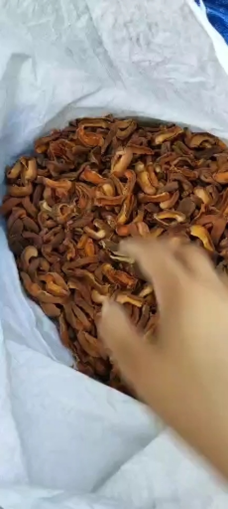杏干天然***太阳晒干自然风干杏干干果果干杏埔