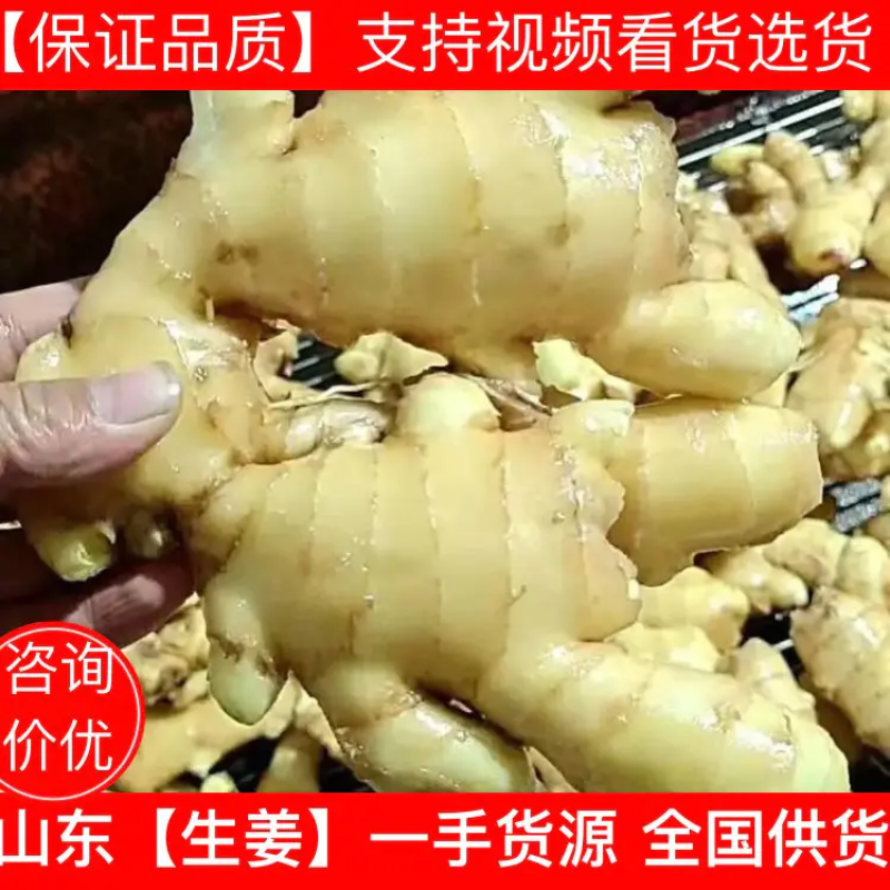 优质生姜，大黄姜，小黄姜，货源充足，保质保量