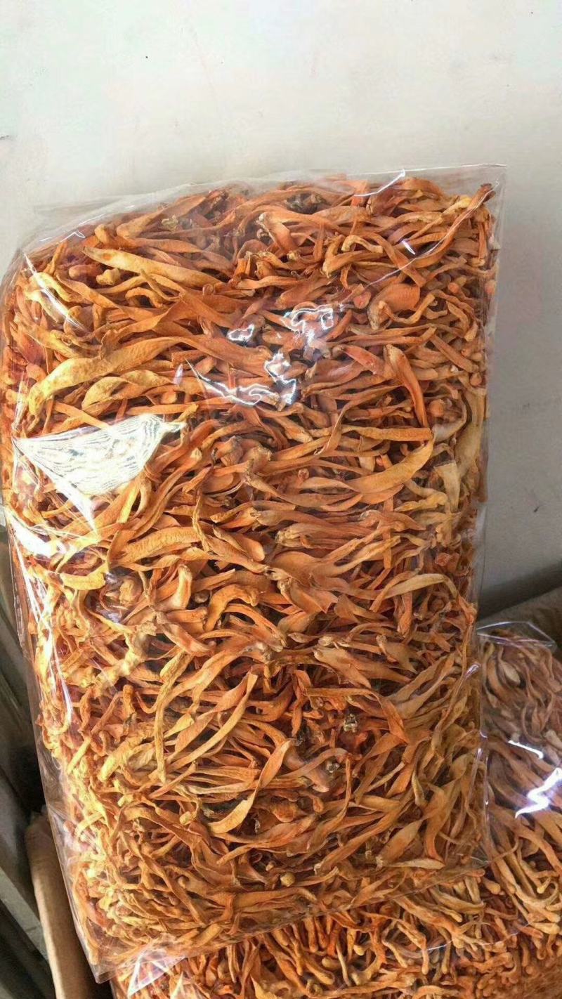虫草花，排草，无硫新货，大量上市，批零兼营
