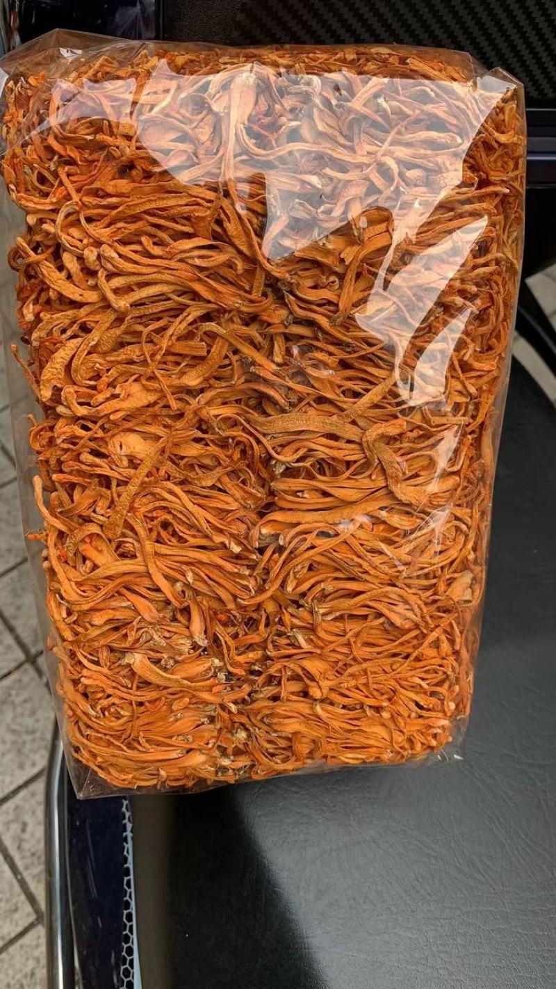 虫草花，排草，无硫新货，大量上市，批零兼营