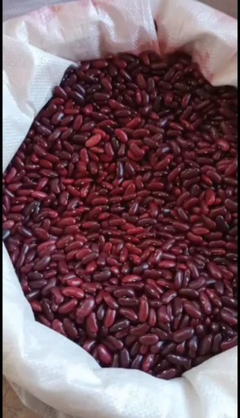 红腰豆需要的老板请联系，大量供应