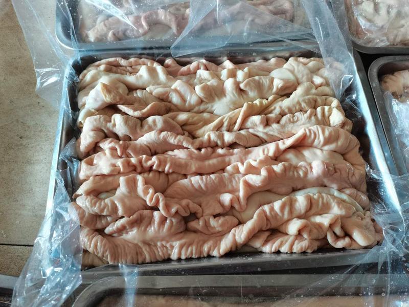 国产新鲜预煮猪大肠20斤解18斤