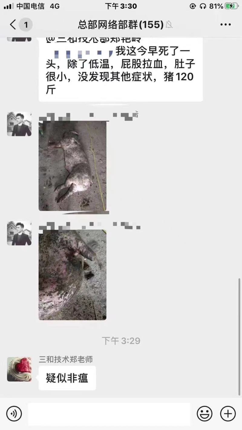 提高免疫力，阻断病毒复制，就选非常好，可以饮水拌料预防
