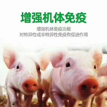 猪瘟产品，非常好，提前用上，猪群健康稳定。