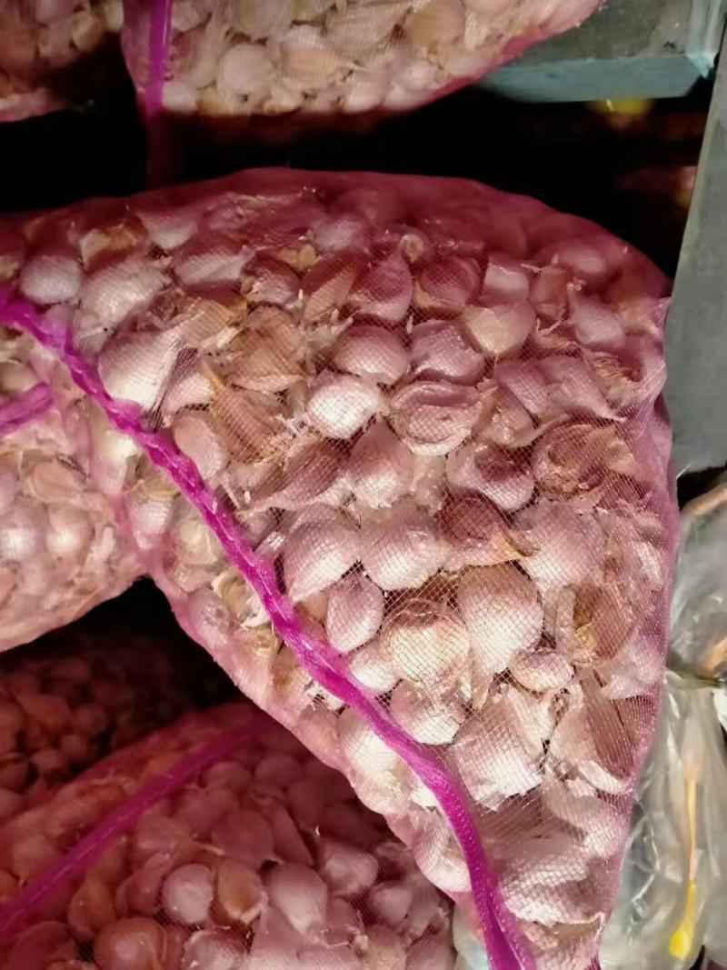 河北省邯郸永年四六瓣大蒜，大对瓣
