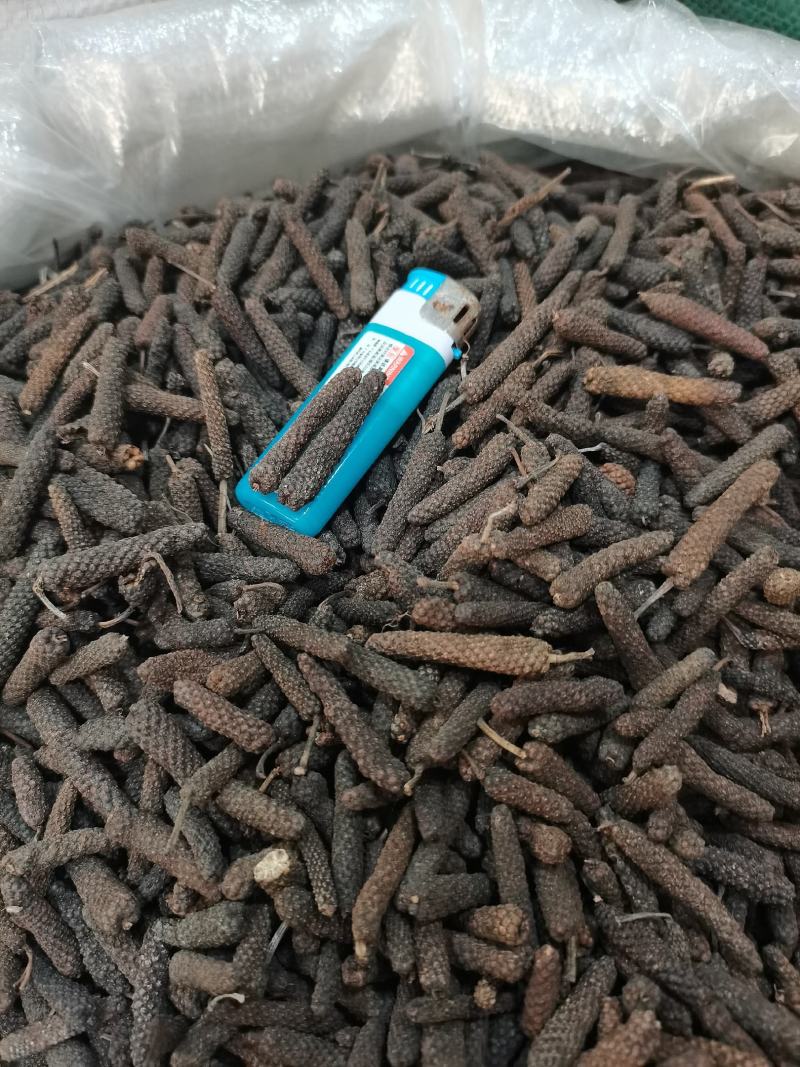 毕拨水洗，原货毕拨大量上市，批零兼营，价格美丽