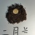二月兰种子，景观花海，绿化防沙种子，郑州发货