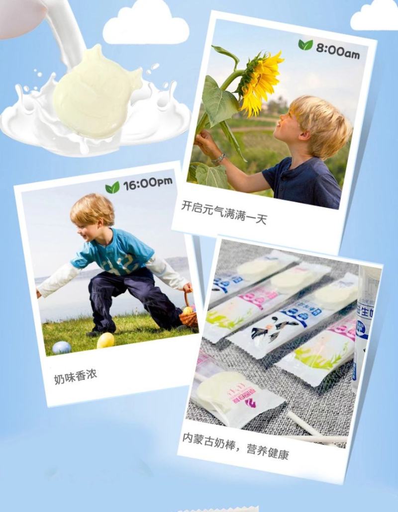 高钙益生奶酥棒内蒙古奶酪片，棒棒糖无蔗糖奶贝独立包装