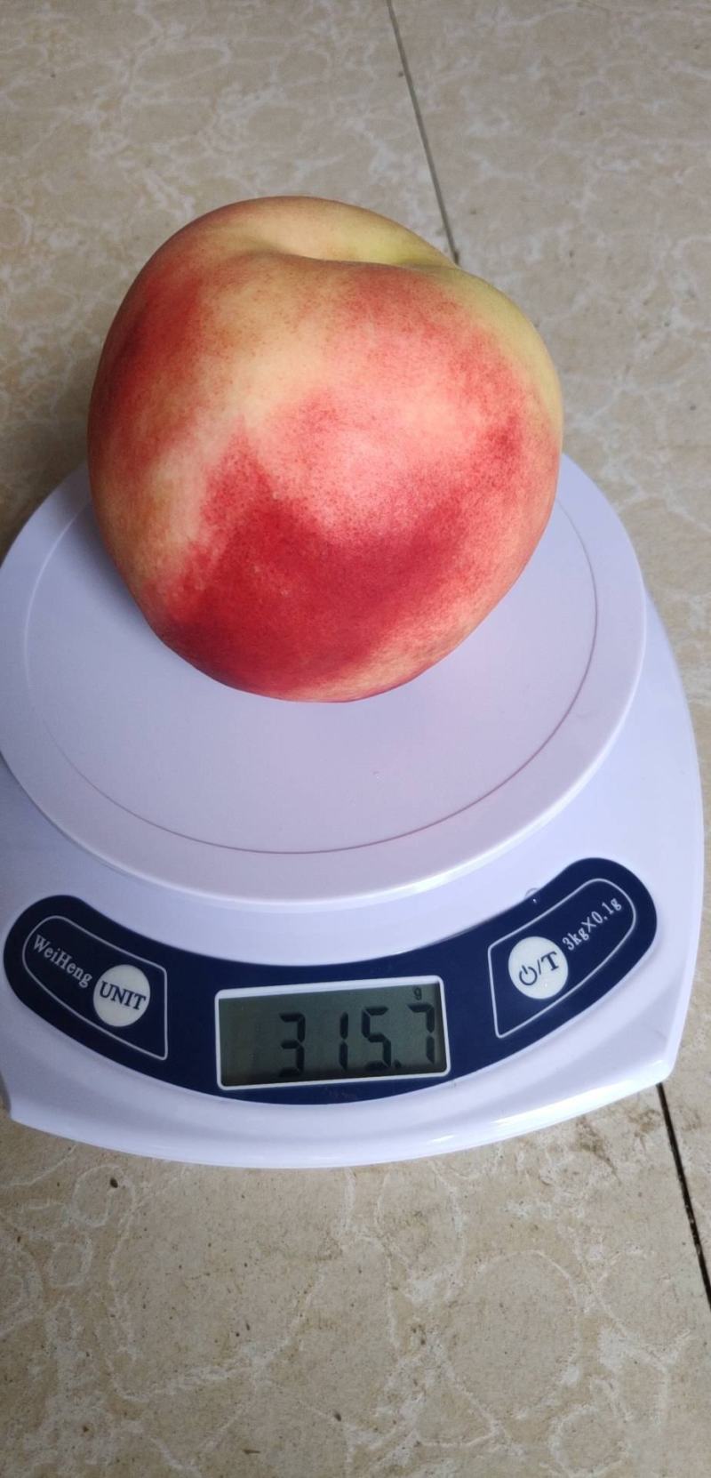 北京8号大型果安徽水蜜桃苗，中熟水蜜桃苗，7月中旬