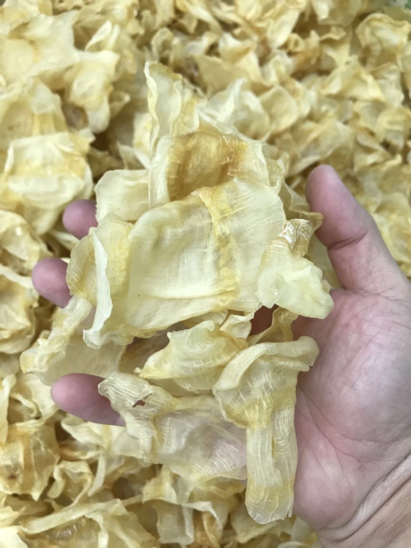 红鱼肚小号足干胶质好口感好
