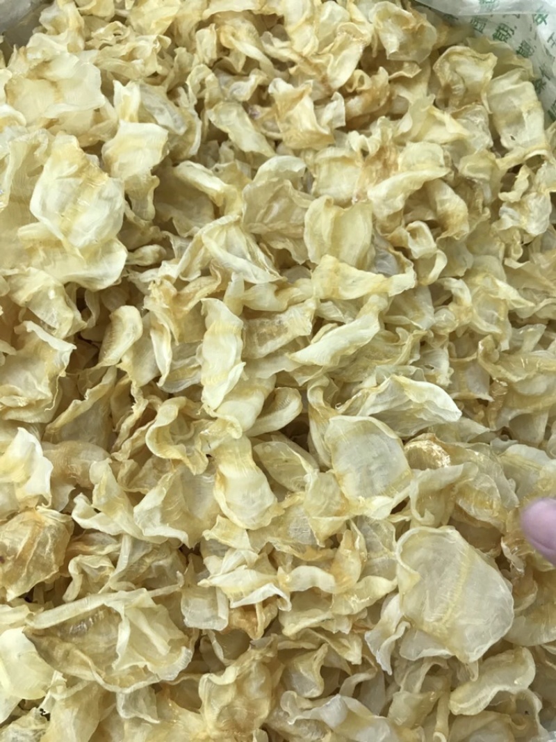 红鱼肚小号足干胶质好口感好