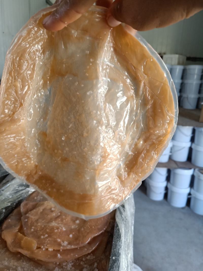 海蜇皮明海蜇红太阳皮大量现货产地直发
