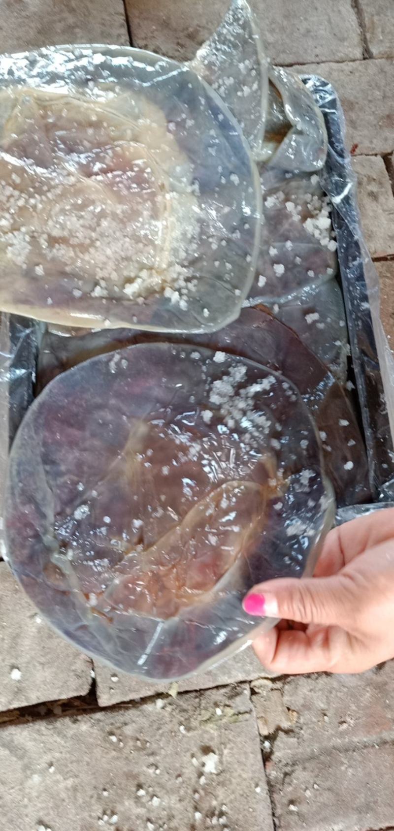 海蜇皮明海蜇红太阳皮大量现货产地直发