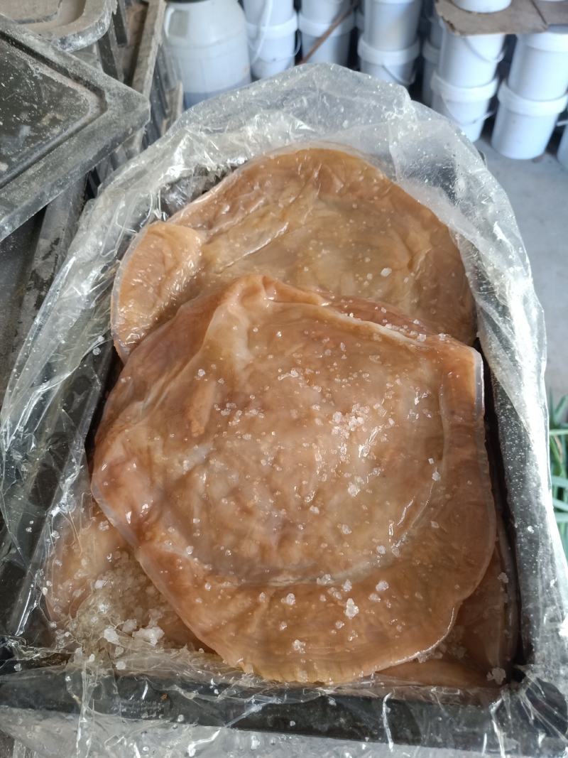 海蜇皮明海蜇红太阳皮大量现货产地直发