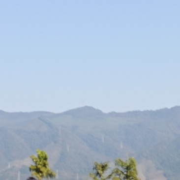 宅基地，阴宅地，孝顺，富贵之根本