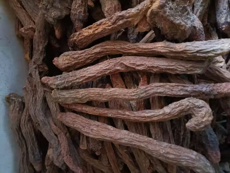 锁阳，构杞，地骨皮大量长年有货