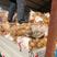 土豆荷兰十五土豆品种保证货源充足值得购买