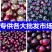 山东莘县茄子，紫光圆茄【每天50万斤】一直到年底，电我！