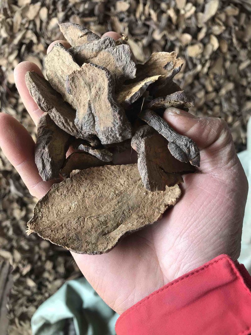何首乌精品何首乌粒何首乌片无硫无熏蒸