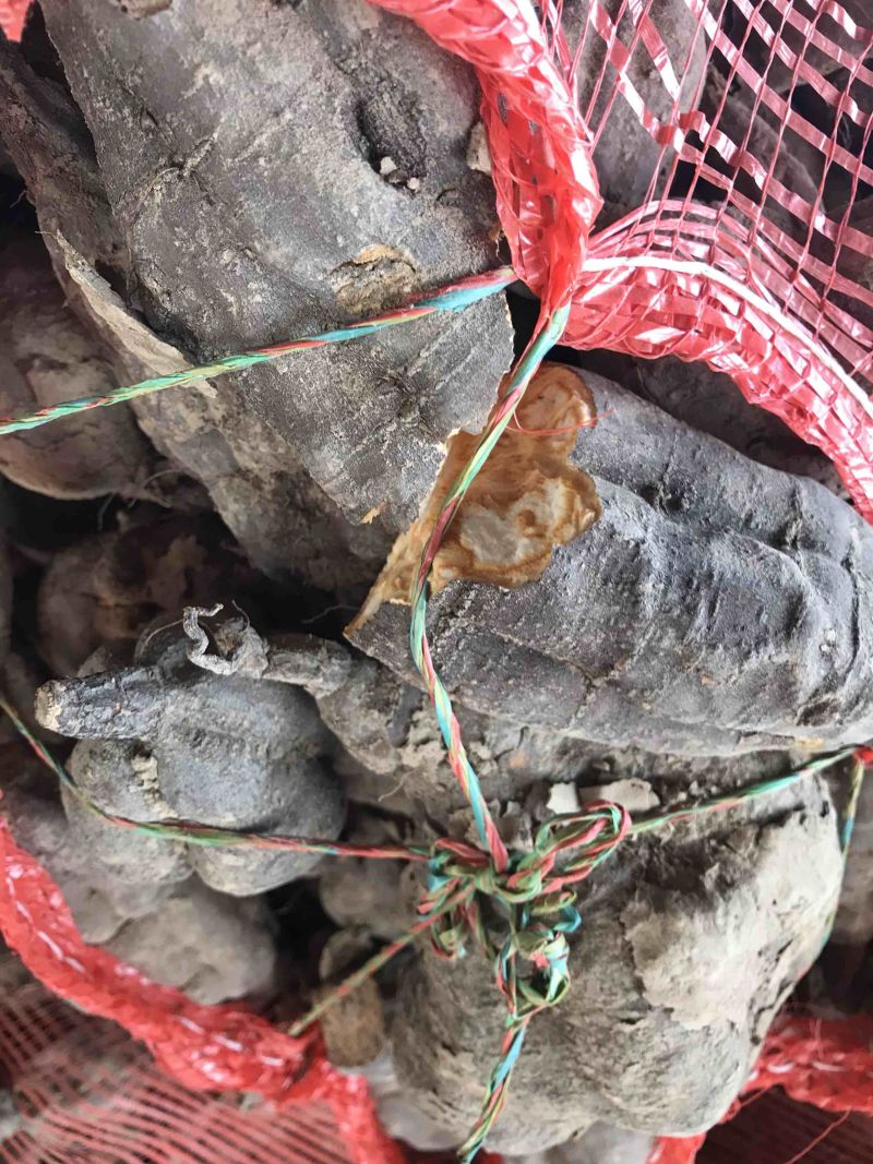 何首乌精品何首乌粒何首乌片无硫无熏蒸