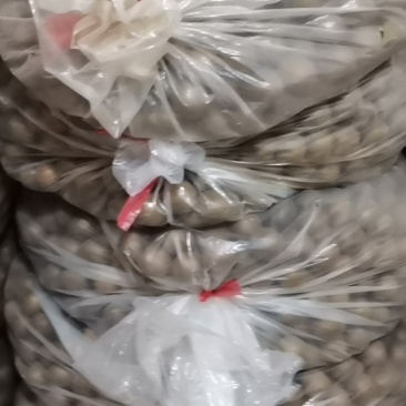 罗汉果产地一手货源找合作商及区域代理同行可批