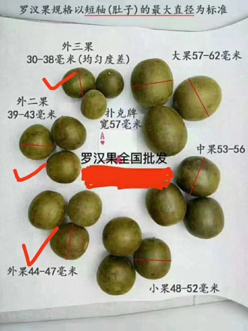 广西桂林罗汉果主产地各种规格齐全传统火烤罗汉果