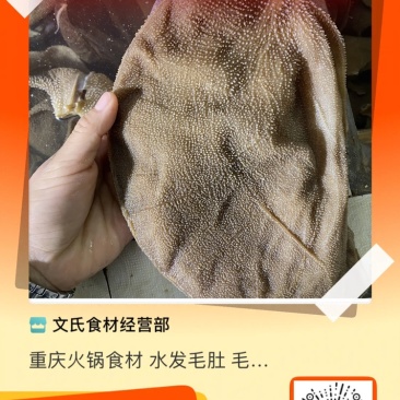 重庆火锅食材水发毛肚毛肚中间大叶片口感纯正
