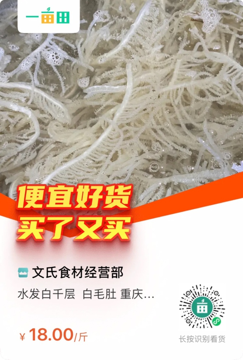 水发白千层白毛肚重庆串串店火锅食材必备