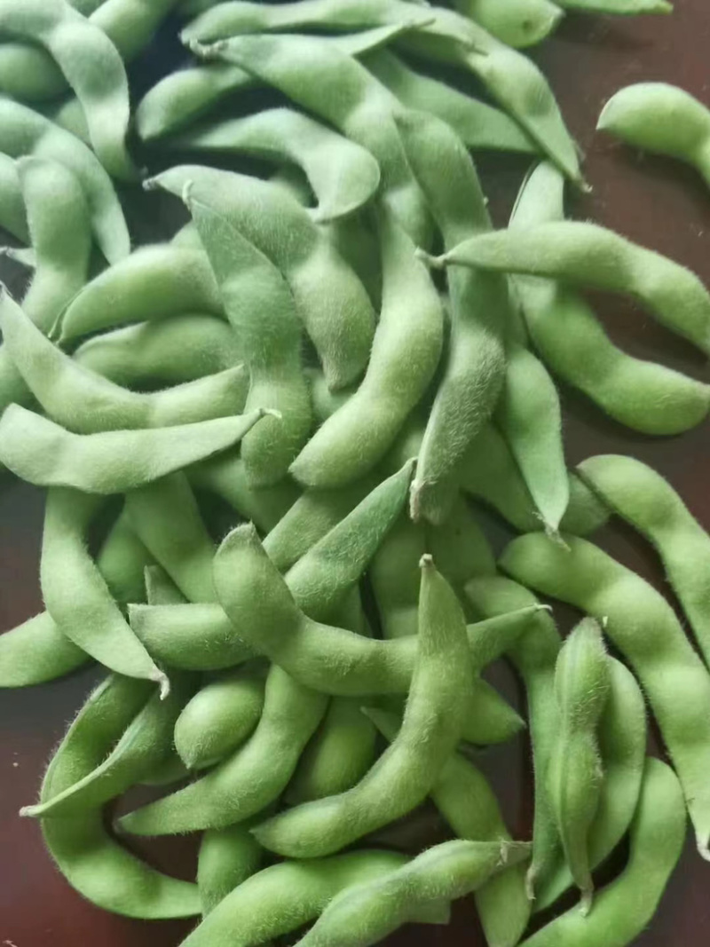 速冻毛豆夹75-3翠绿宝