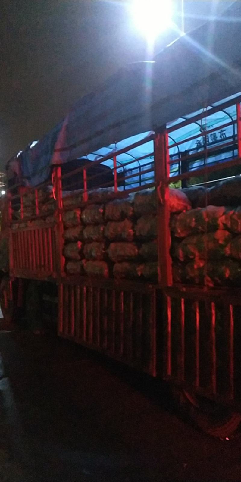 湛江沙地西瓜红现在有湛江沙泥土上市，欢迎来合作发，