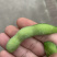 速冻毛豆夹75-3翠绿宝