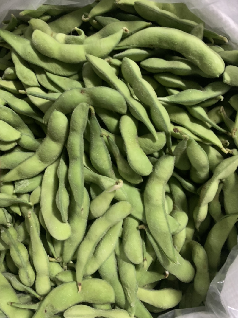 速冻毛豆夹75-3翠绿宝