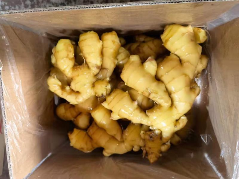 精选小黄姜新鲜上市姜味十足现挖现卖量大从优
