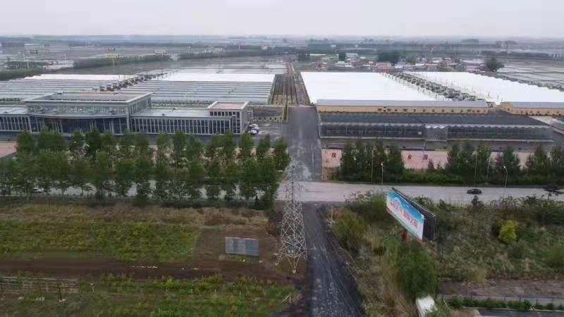 【鲜草】【李大人村】产地批发东北土特产，虫草花干货，鲜