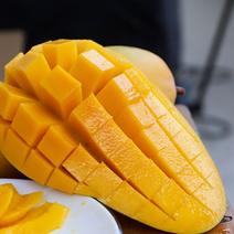 海南三亚热带水果金黄芒果