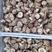 秦岭香菇干货无根脱水花姑新货花菇农家野生新鲜冬菇菌菇批。