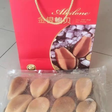 鲍鱼（黄金鲍冻品），一件十盒一盒8只装，6只装。一手货源