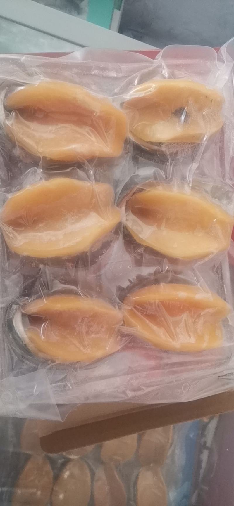 鲍鱼（黄金鲍冻品），一件十盒一盒8只装，6只装。一手货源