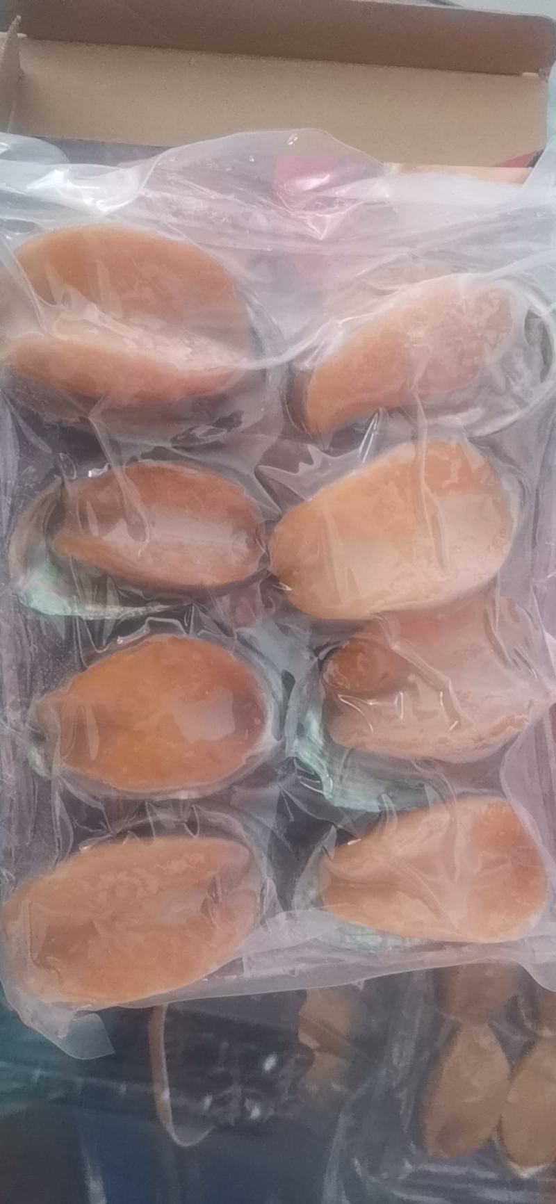 鲍鱼（黄金鲍冻品），一件十盒一盒8只装，6只装。一手货源