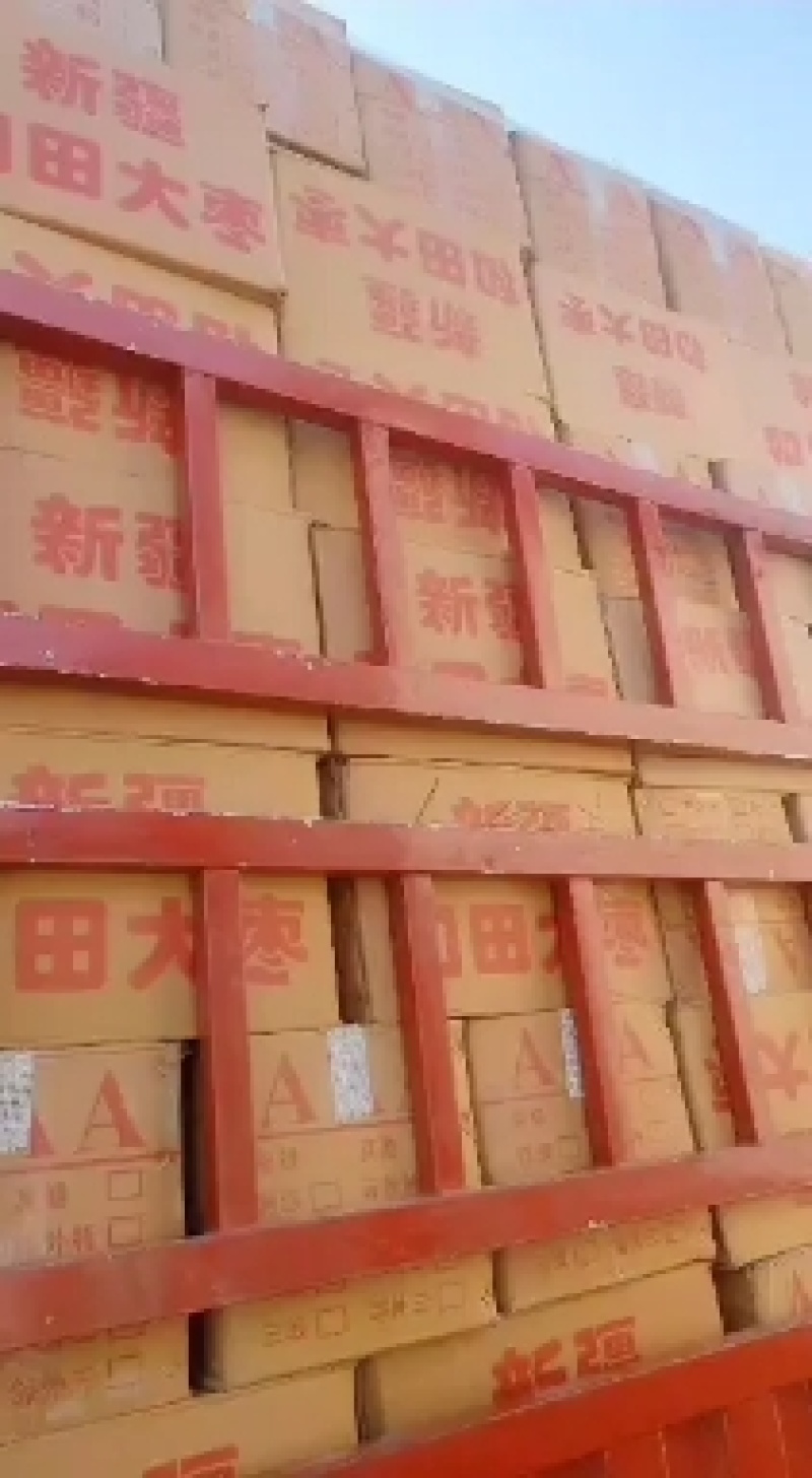 新疆和田大枣！特价特价销售！河北沧州市献县淮镇！干甜可口