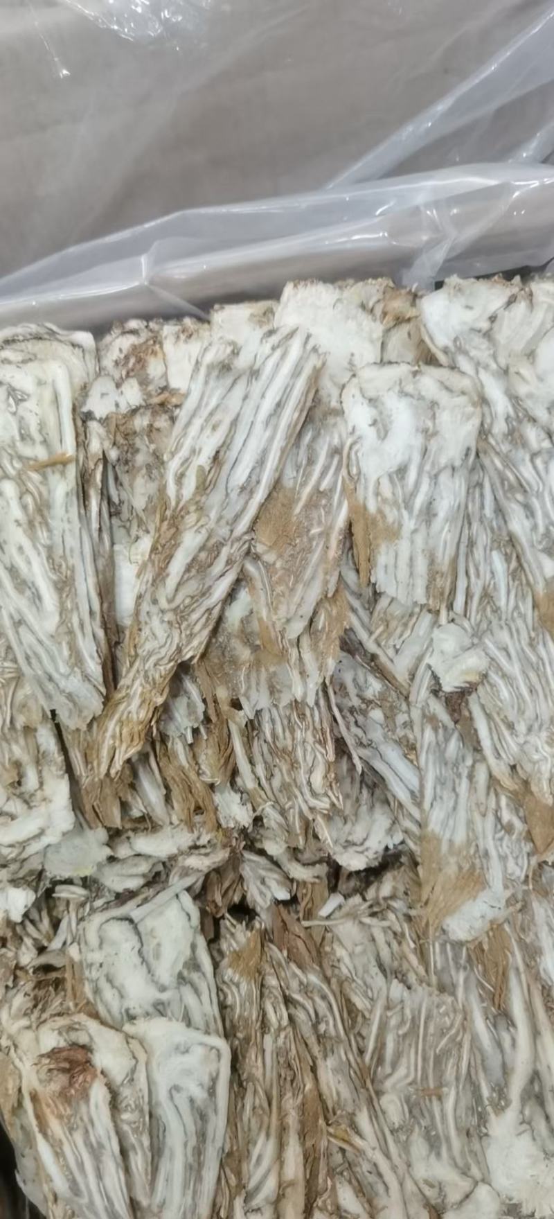 岷县当归片，当归头，大量供应，批发零售，质优价廉