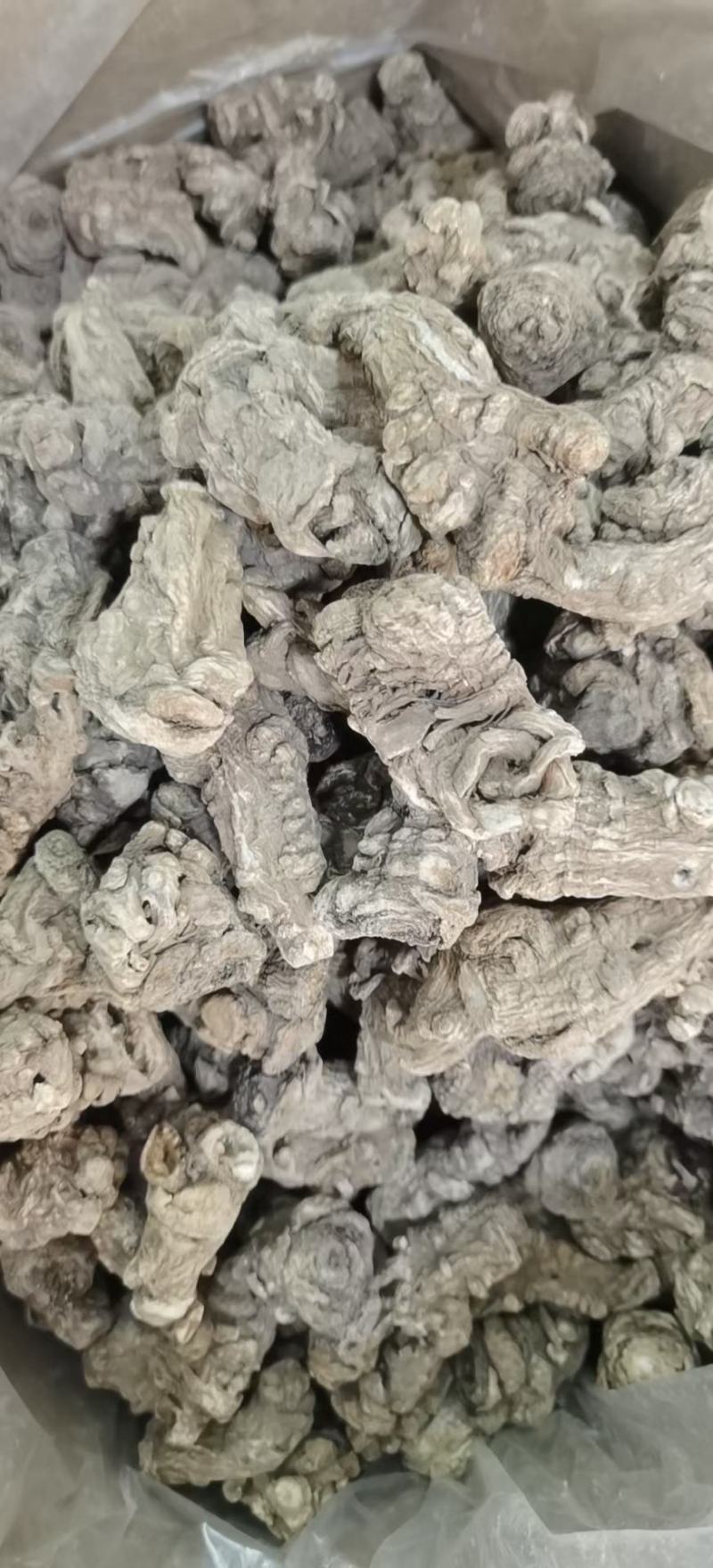 岷县当归片，当归头，大量供应，批发零售，质优价廉