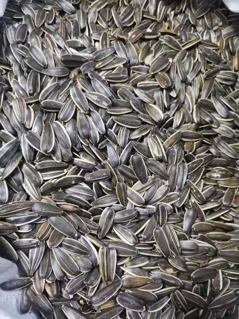 葵花籽张家口坝上优质产地欢迎光临